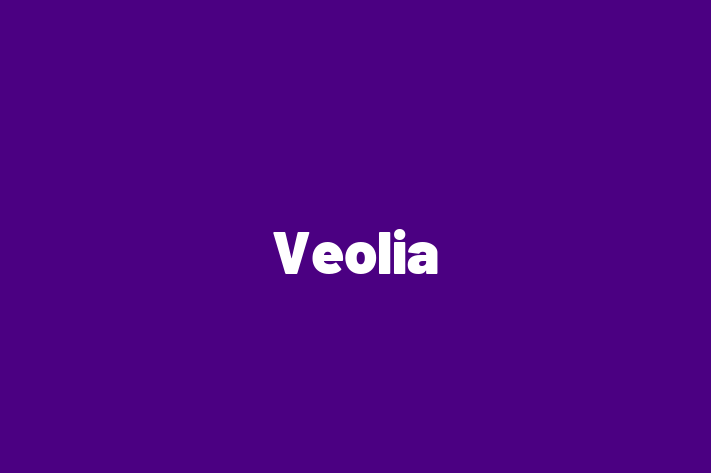 Digital Solutions Provider Veolia