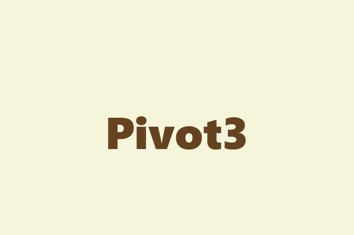 Technology Solutions Firm Pivot3