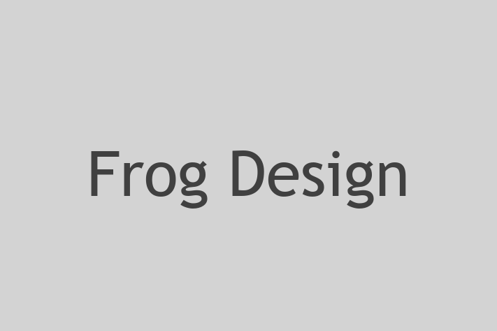 Software Consultancy Frog Design