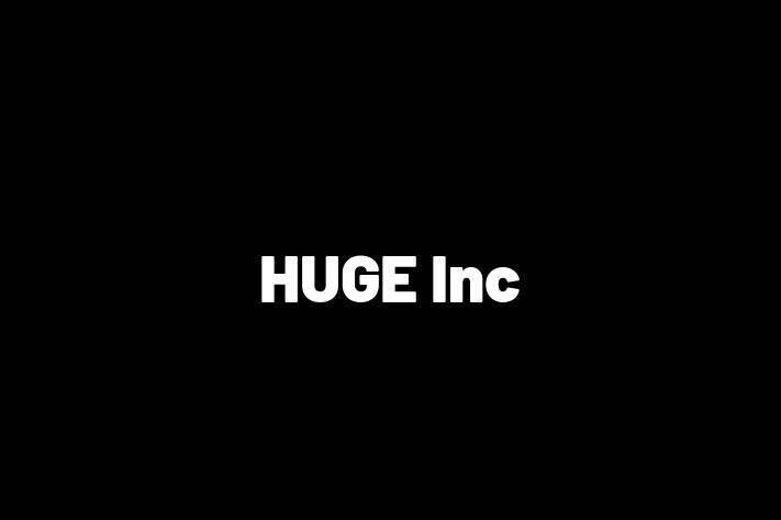 IT Company HUGE Inc