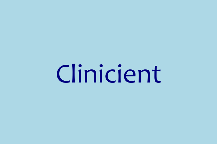 Technology Solutions Firm Clinicient