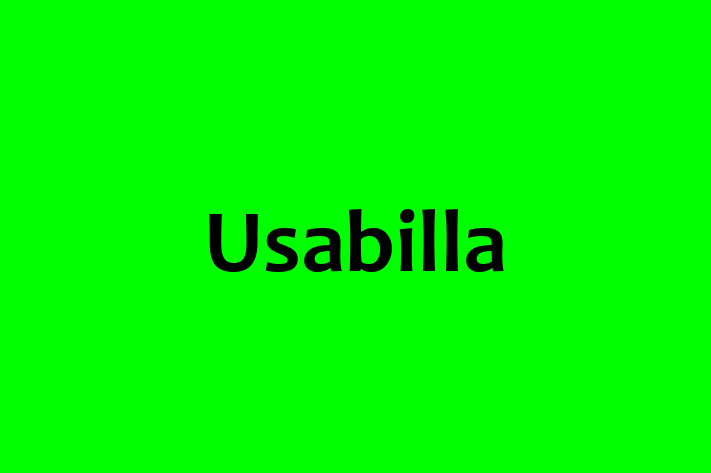 Tech Solutions Company Usabilla