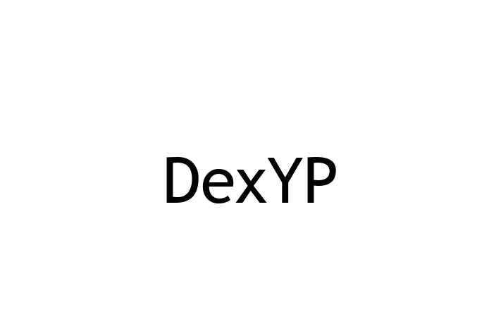 Software Solutions Provider DexYP