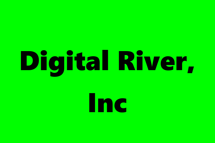 Tech Solutions Company Digital River Inc