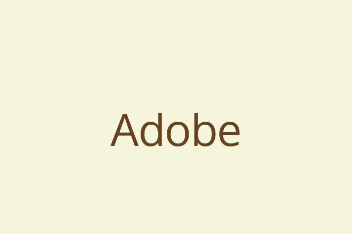 Software Engineering Company Adobe