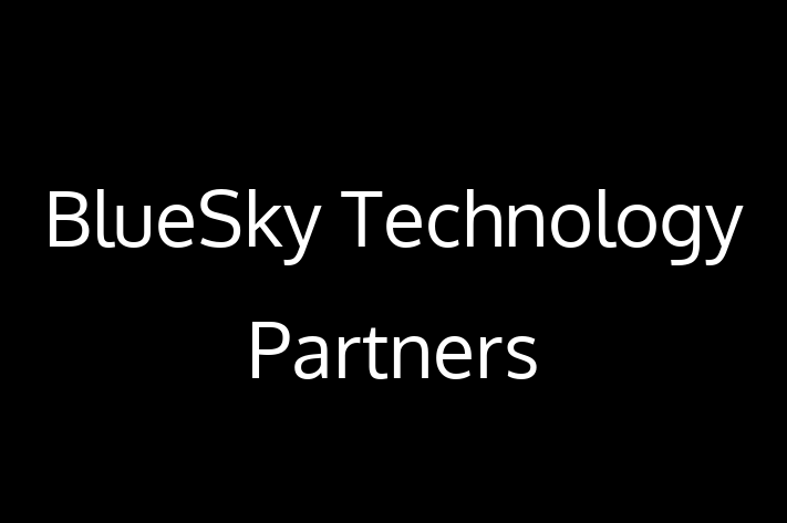 Software Development Firm BlueSky Technology Partners