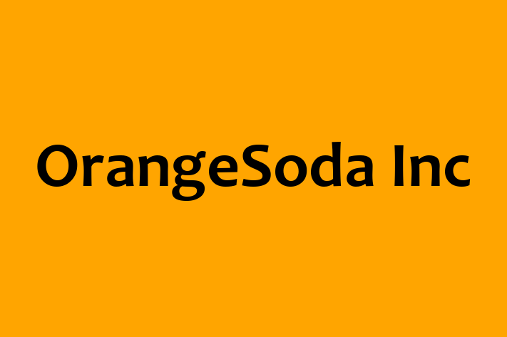 Digital Solutions Provider OrangeSoda Inc