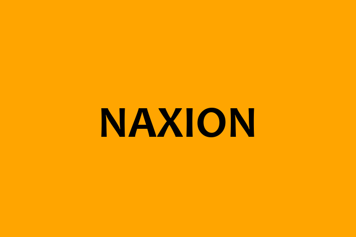 IT Company NAXION