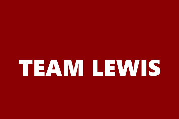 Employee Relations TEAM LEWIS