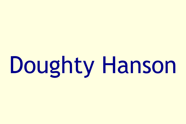 Technology Solutions Firm Doughty Hanson