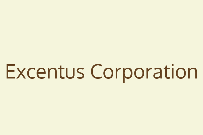 Technology Solutions Firm Excentus Corporation