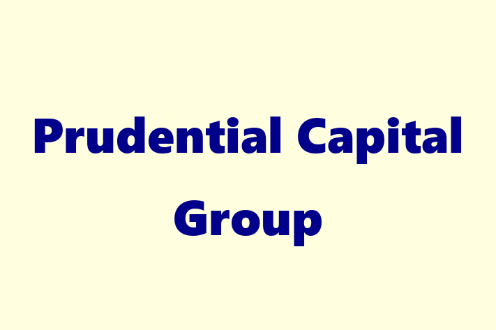 Application Development Company Prudential Capital Group