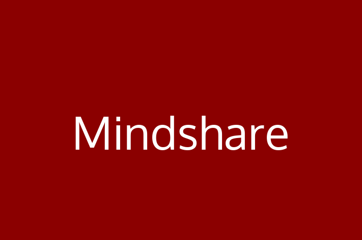 Software Development Company Mindshare