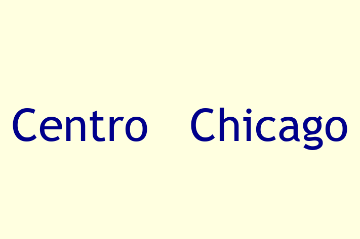 Technology Solutions Firm Centro   Chicago