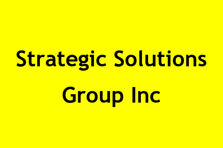 Software Engineering Company Strategic Solutions Group Inc