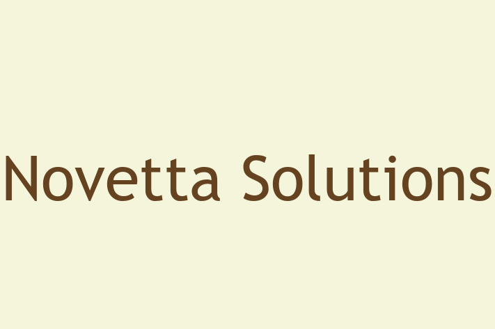 Digital Solutions Provider Novetta Solutions