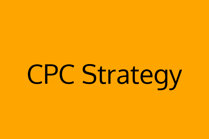 Software Development Company CPC Strategy