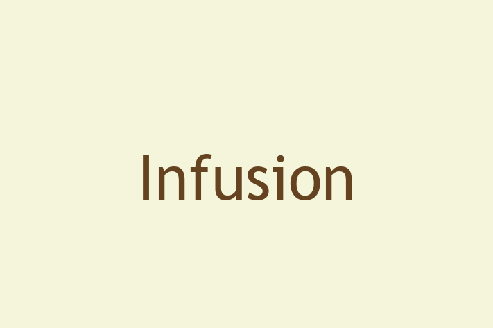 Software Solutions Provider Infusion