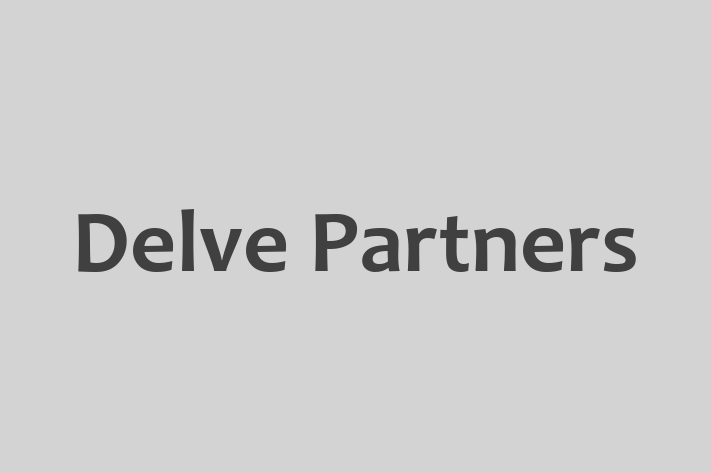 Tech Firm Delve Partners