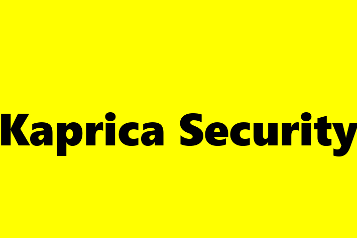 Tech Solutions Company Kaprica Security