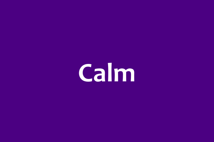 Software Firm Calm