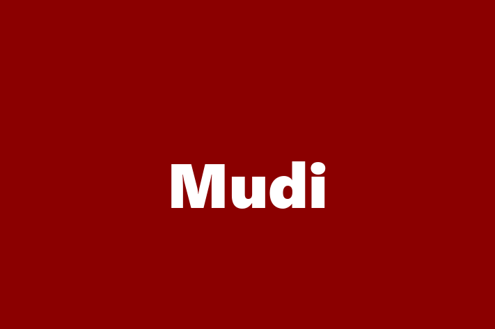 Meet Your New Mudi Dog in Simi Valley