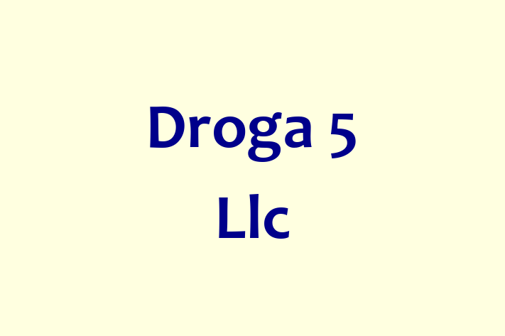 Software House Droga 5 Llc