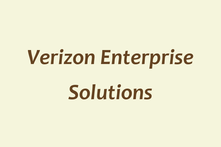 Software Firm Verizon Enterprise Solutions