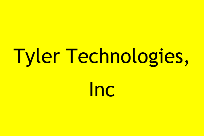 Software Consultancy Tyler Technologies Inc