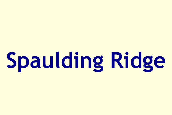 Human Resource Management Spaulding Ridge