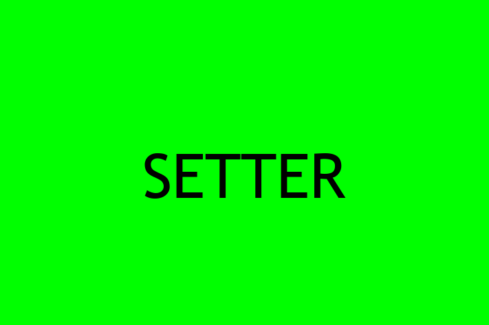 Technology Solutions Firm SETTER