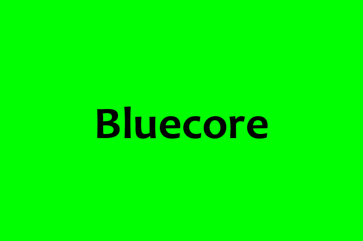 Software Firm Bluecore