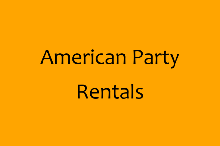 Software Firm American Party Rentals