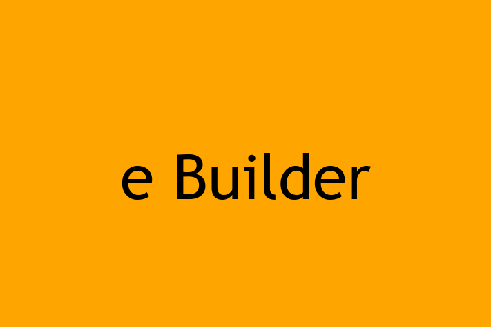 Application Development Company e Builder