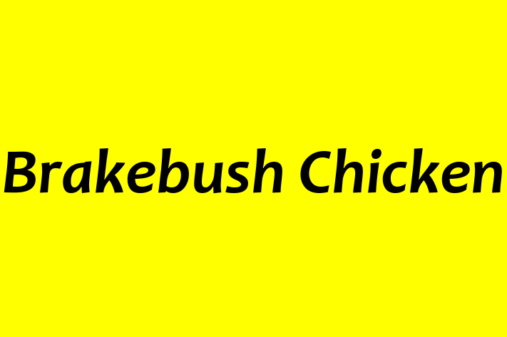 Labor Relations Brakebush Chicken