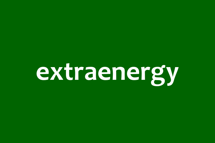 Software Engineering Company extraenergy