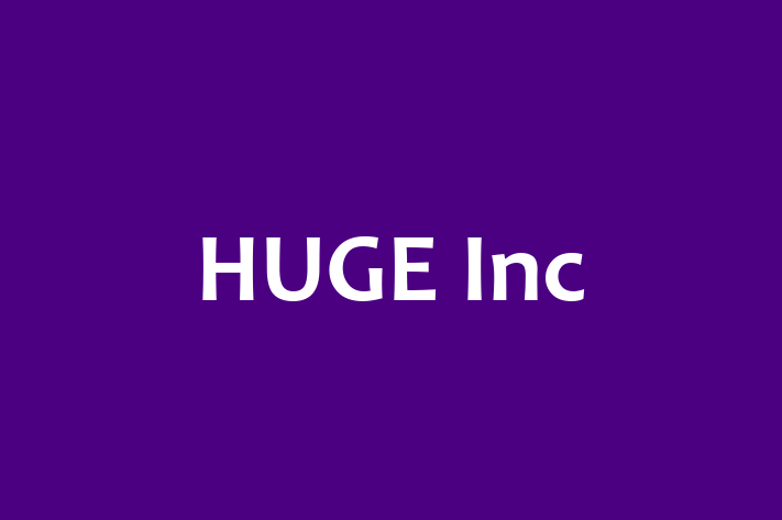 Tech Solutions Company HUGE Inc