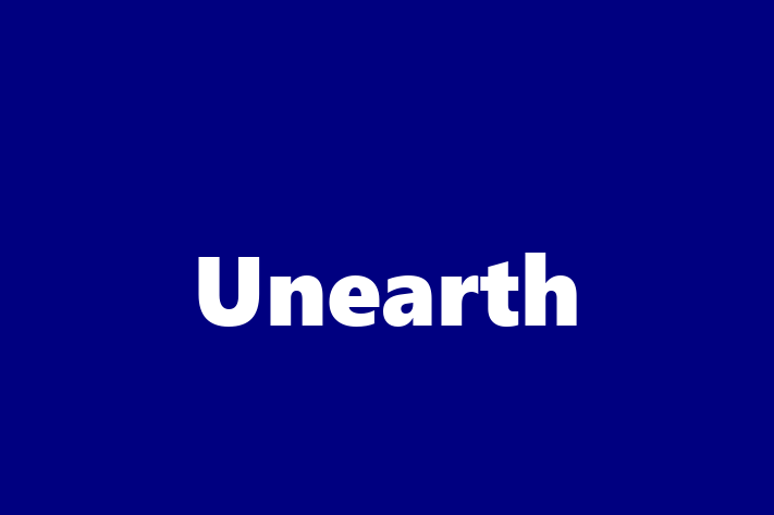 Technology Solutions Firm Unearth