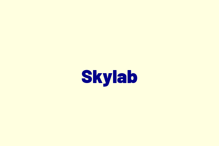 Software Services Company Skylab