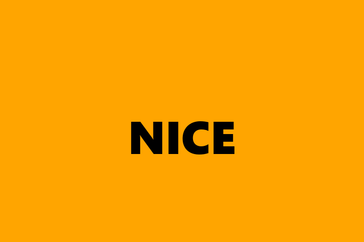 Digital Solutions Provider NICE