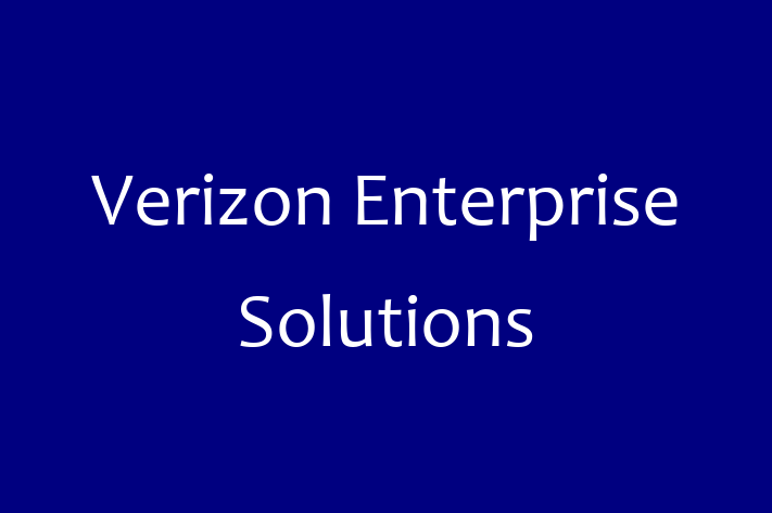 Digital Solutions Provider Verizon Enterprise Solutions