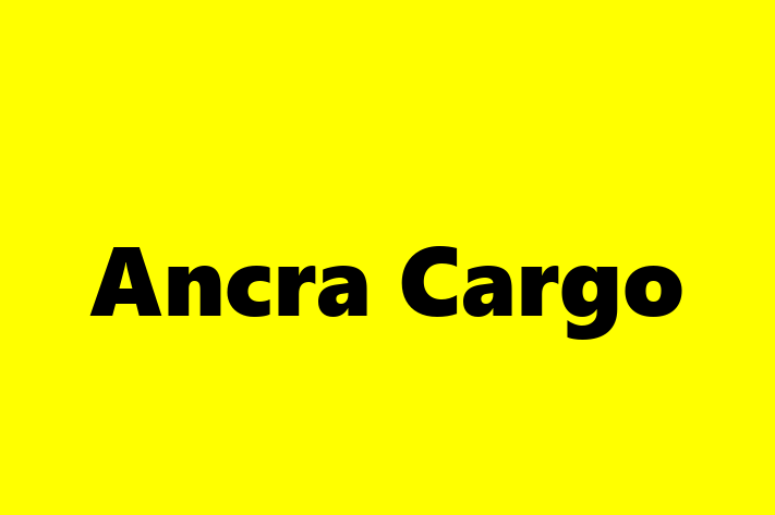 Human Resource Management Ancra Cargo