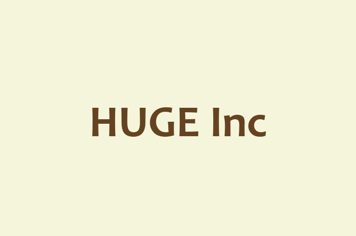 Digital Solutions Provider HUGE Inc