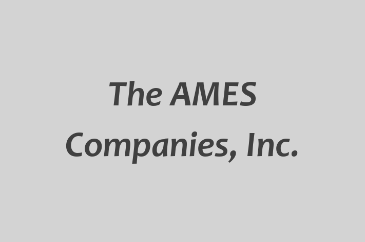 Employee Resource Management The AMES Companies Inc.