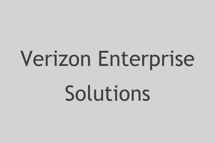 Software Engineering Company Verizon Enterprise Solutions