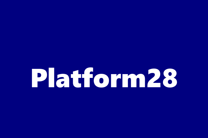 Tech Firm Platform28