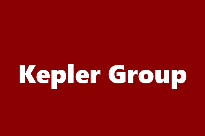 IT Company Kepler Group