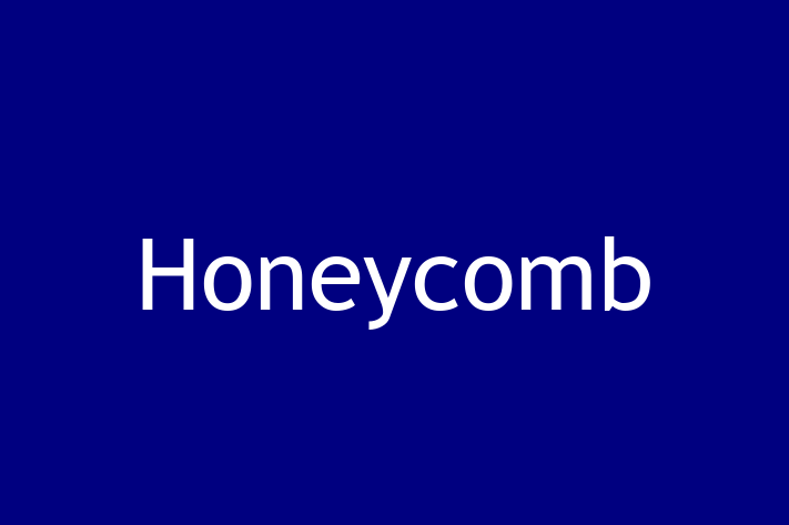 Technology Company Honeycomb