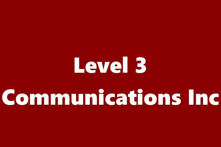 Software Development Company Level 3 Communications Inc