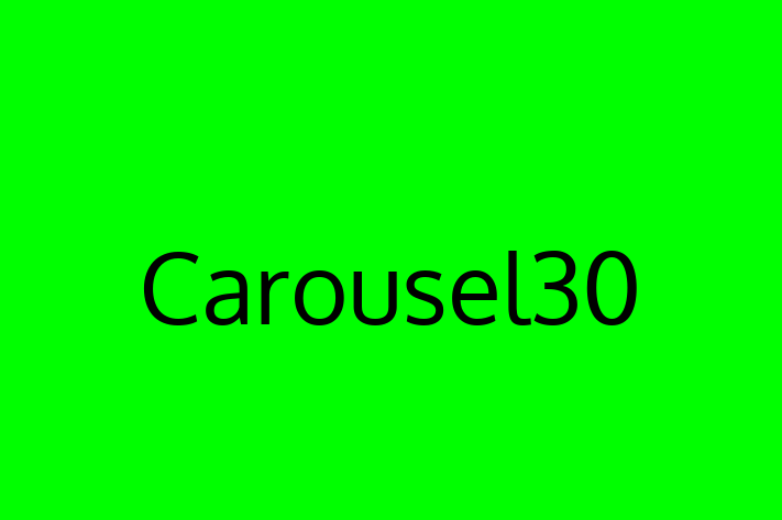 IT Company Carousel30